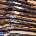 Чехи владеют более чем миллионом единиц оружия. Лицензии на оружие также растут