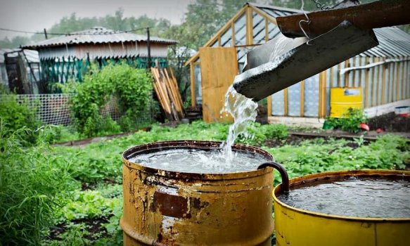 Сбор дождевой воды — 7 частых ошибок, которые нужно избежать